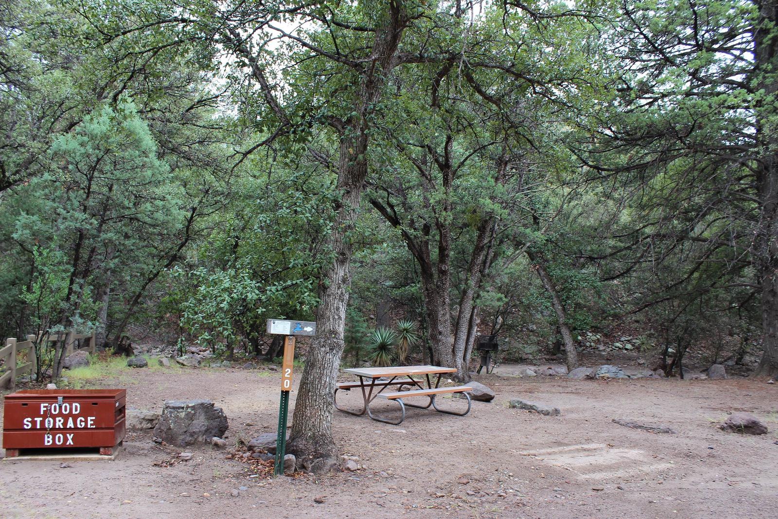 Campsite #20 is a long site best for trailers and motorhomes along Bonita Creek which flows seasonally.Campsite #20