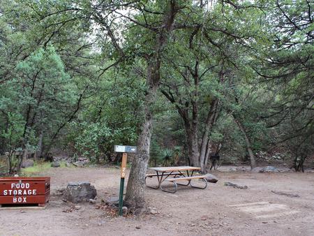 Campsite #20 is a long site best for trailers and motorhomes along Bonita Creek which flows seasonally. Campsite #20
