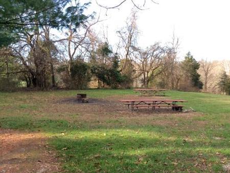 Site 1 with fire ring and picnic benches.