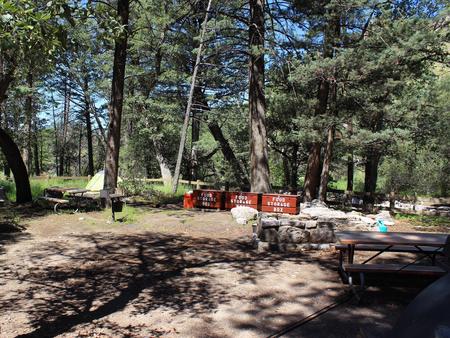 Campsite #26, the group site, is for tent campers only with 8 to 24 people. Fees are charged per person, per night.Campsite #26-Groupsite