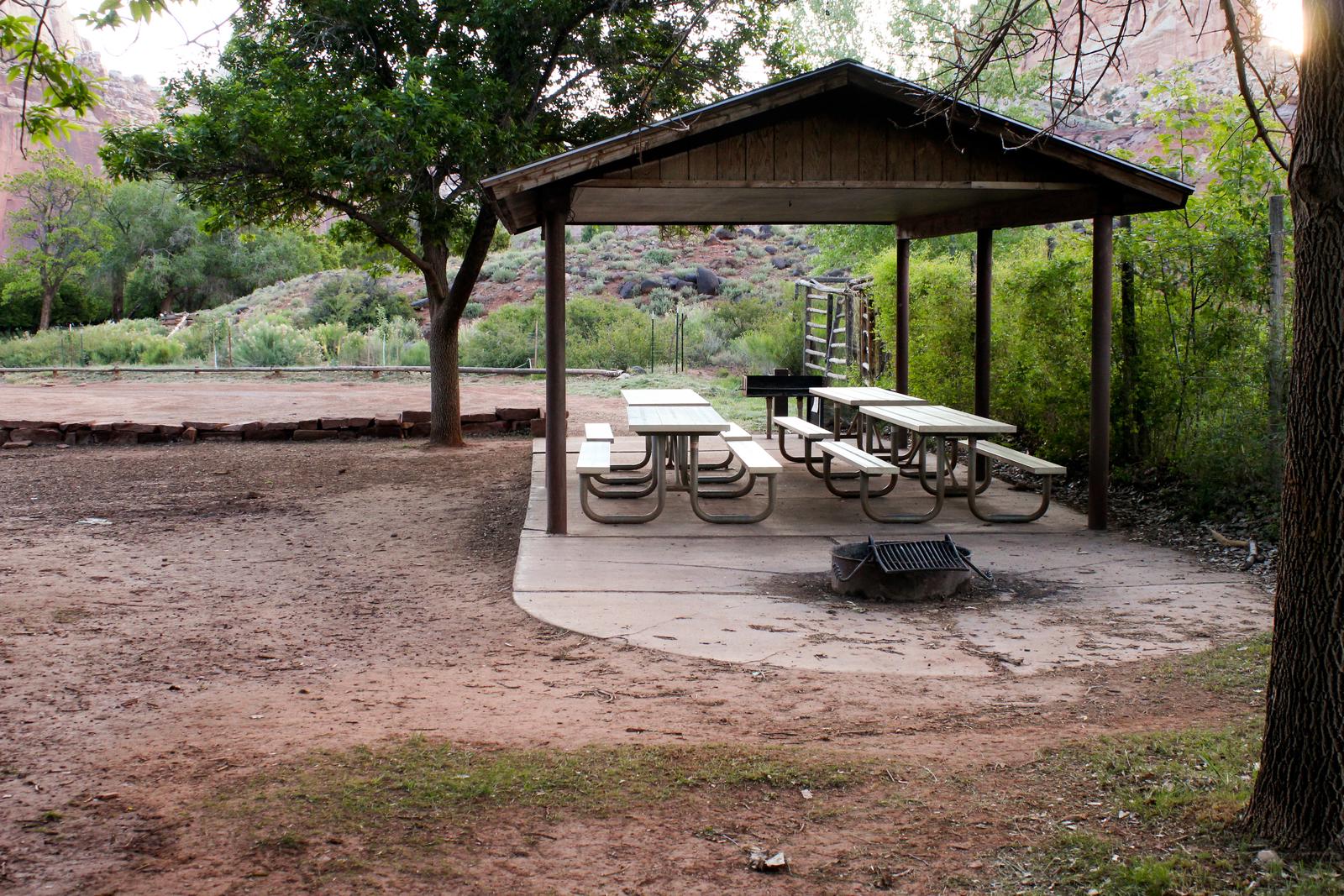 A pavilion covers four white picnic tables on pavement. There is a fire pit to the right of the pavilion, still on pavement. The pavilion backs up to foliage. A patch of dirt is in front of it and the fire pit Pavilion with Fire Pit