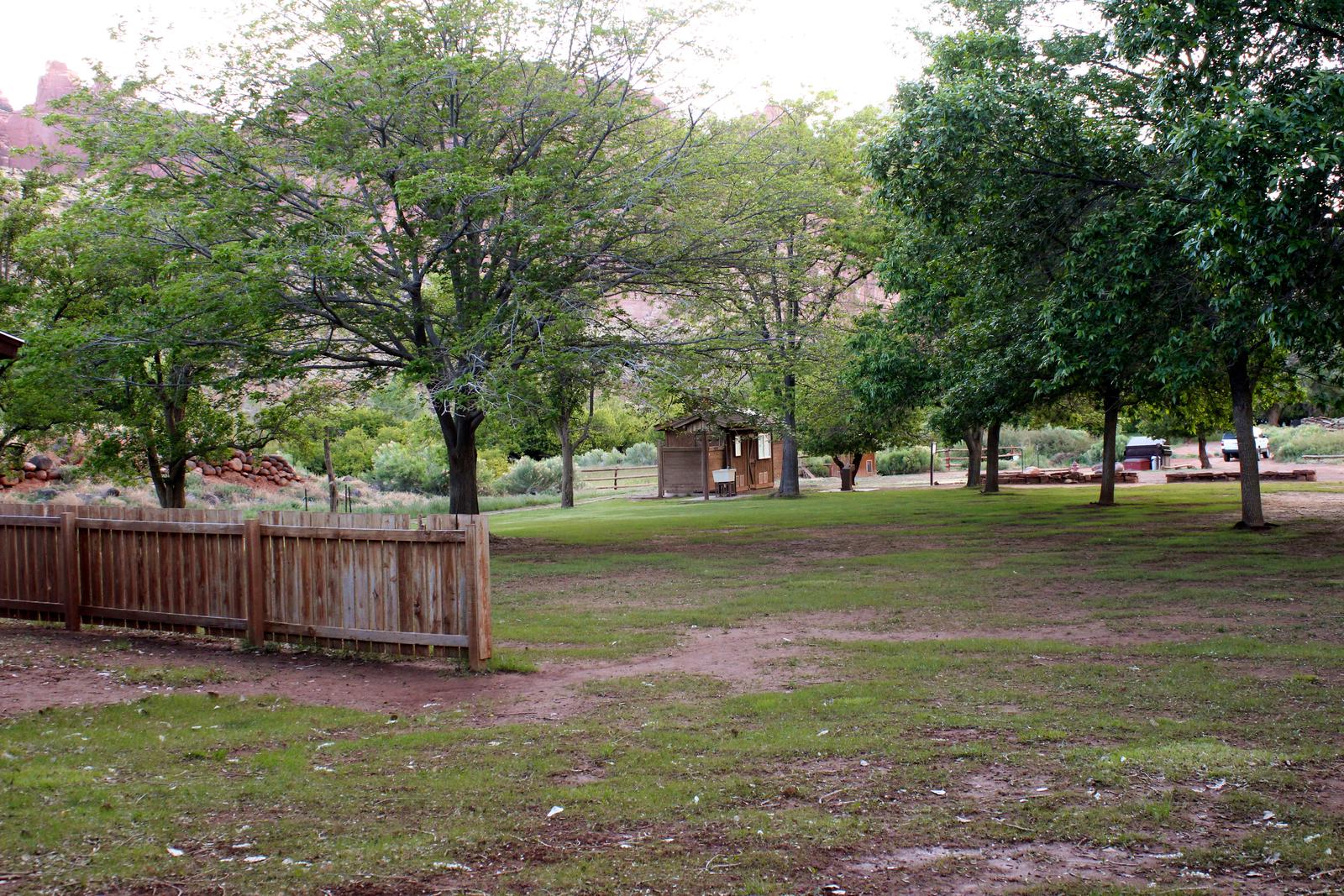 A grassy field. A fence is in the front of image, across half of the image. There are a few trees in the area. A small building is in the background.View from the South Corner of Group Site
