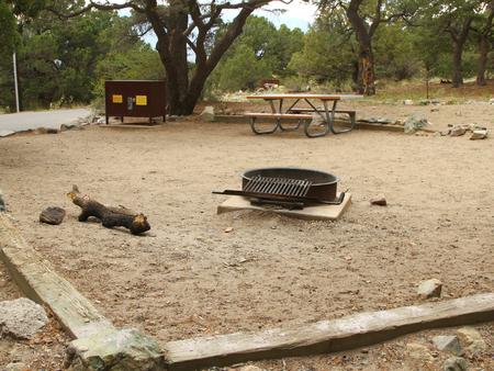 Side view of Site #15 tent pad, fire ring, bear box, and picnic table. In the background you can see the bear box from neighboring site #16.Site 15, Pinon Flats Campground