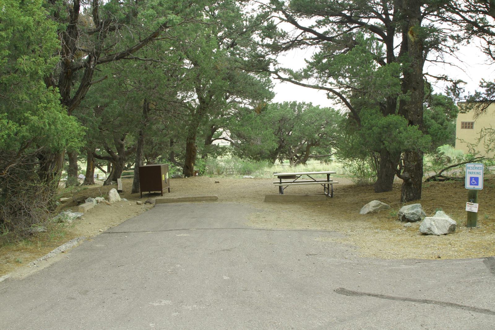 View of accessible Site #14 parking pad, tent site, bear box, and picnic table.Site 14, Pinon Flats Campground