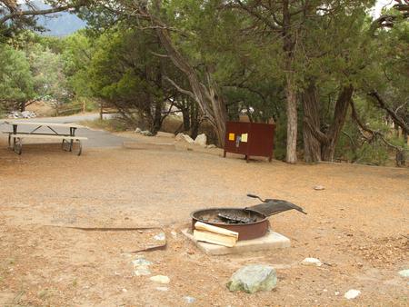 Back view of Site #14 tent pad, fire ring, picnic table, and bear box. Tent site area is mostly paved and flat.Site 14, Pinon Flats Campground
