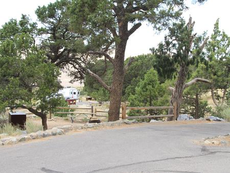 View of Site #4 small pull through parking, fenced tent site, picnic table, bear box, and low overhanging pine trees. Site has stairs below paved road.Site #4, Pinon Flats Campground