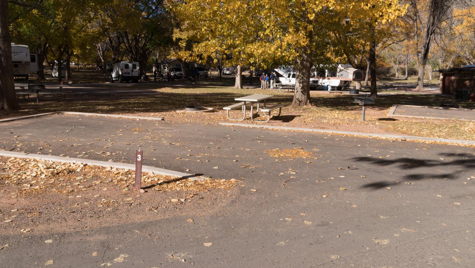 A paved driveway. Facing the end of the driveway, a picnic table is off to the right side and a fire pit is directly behind it. A tree is directly behind the end of the driveway. Site 3, Loop A in fall. Admin Site.
Paved Dimensions: 14' x 39'