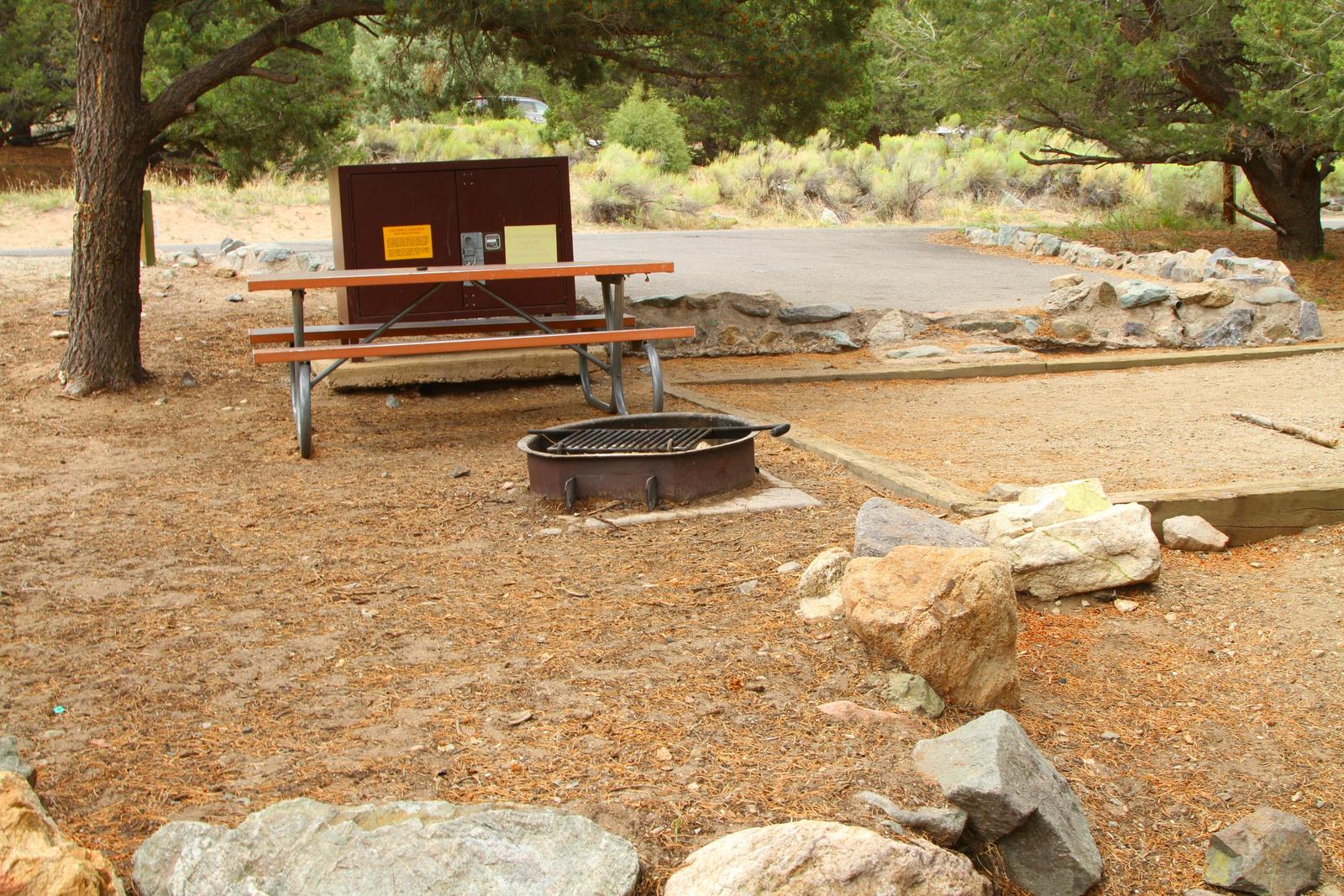 Back view of Site #11 designated tent pad, fire ring, picnic table, and bear box.Site #11, Pinon Flats Campground