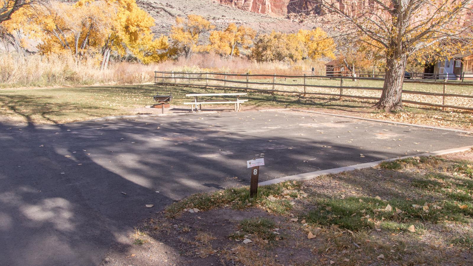 A paved driveway. Facing the end of the driveway, a picnic table, grill, and fire pit are off to the left side. A tree is directly behind the site. Site 8, Loop 1 in fall. Admin Site.
Paved Dimensions: 30' x 30'
