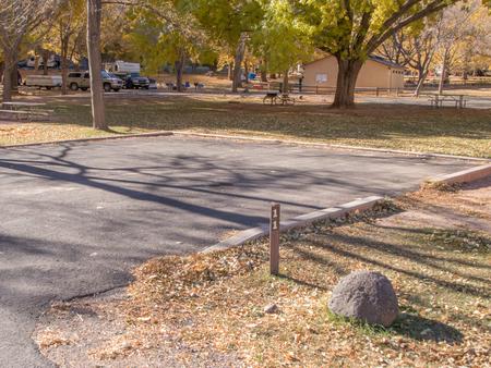 A paved driveway. A small building is in the background.Site 11, Loop A in fall.
Paved Dimensions: 31' x 31'