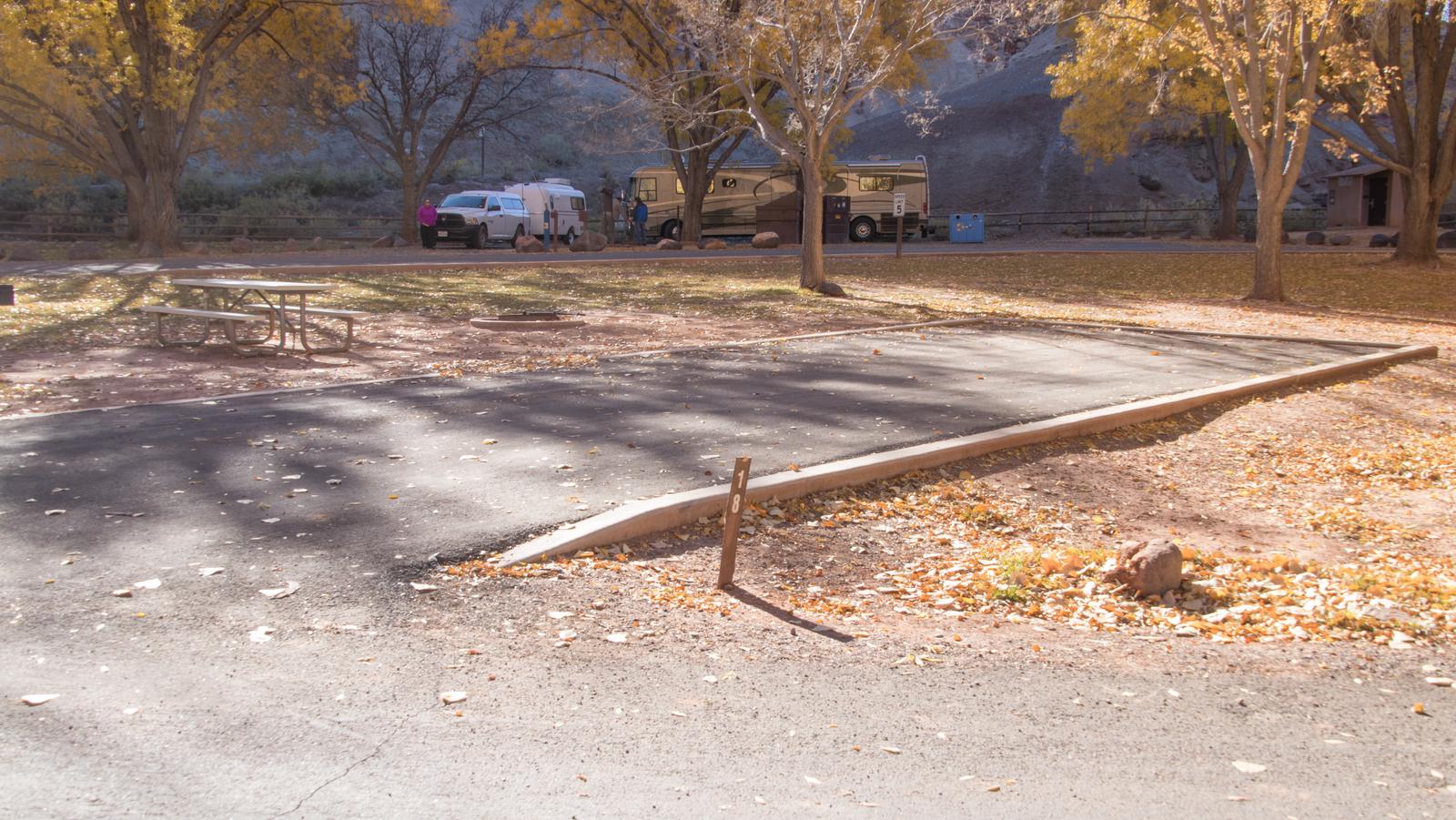 A paved driveway. Facing the end of the driving, a picnic table is off to the left. A few trees are in the background.Site 18, Loop A in fall.
Paved dimensions: 14' x 50'