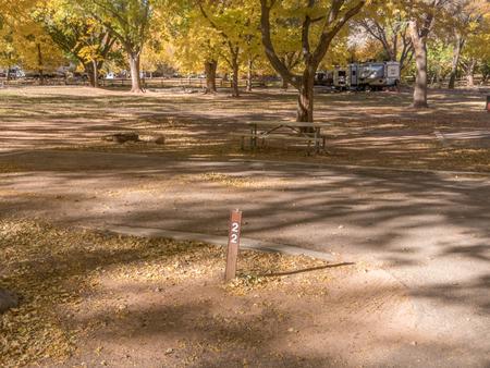 A paved driveway. Facing the end of the driveway, a fire pit is behind to the right, and a picnic table is to the right side. Many trees are in the background.Site 22, Loop B in fall
Paved dimensions: 14' x 40'