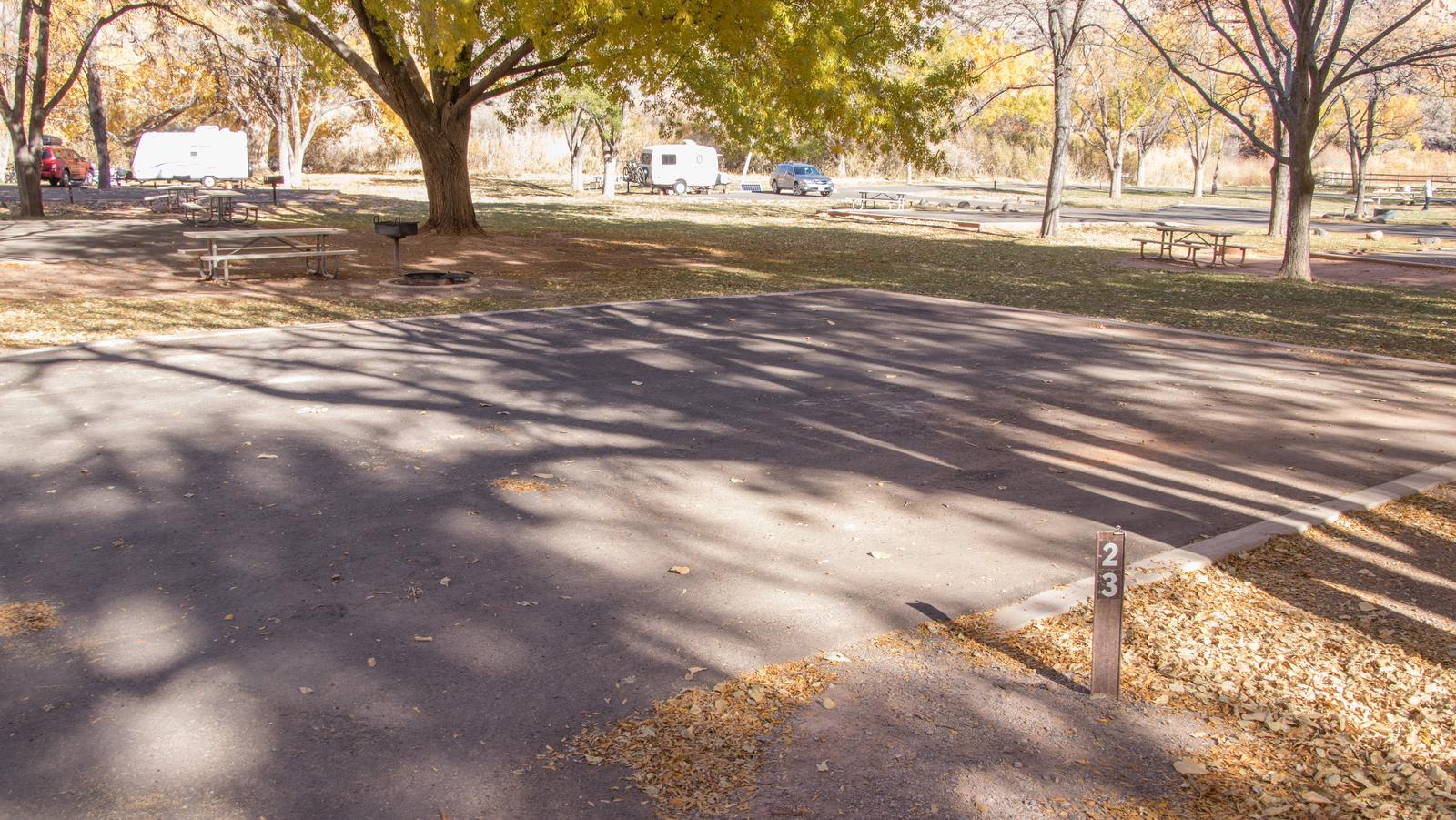 A paved driveway. Facing the end of the driveway, a picnic table, grill, and fire pit are to the left side. 1 tree is near the picnic table. A few other trees are in the background.Located in Loop B in fall.
Paved dimensions: 32' x 32'