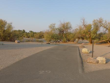 Furnace Creek Campground standard nonelectric site #29 with picnic table and fire ring.
