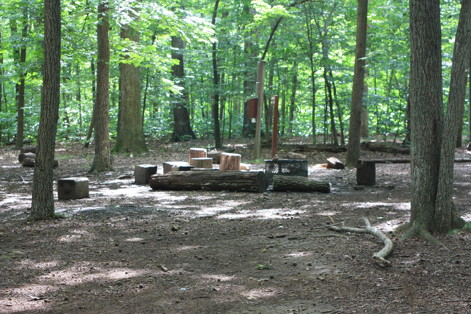 Campsite around fire pit with large tree stumpsCampsite around fire pit with large tree stumps for sitting