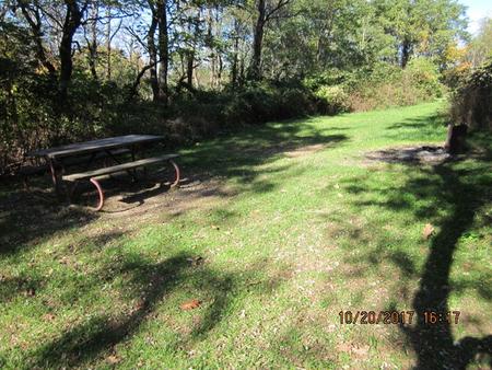 Site G185 with Picnic Table and Grill