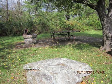 Site G187 with Accessible Fire Pit and Picnic Table