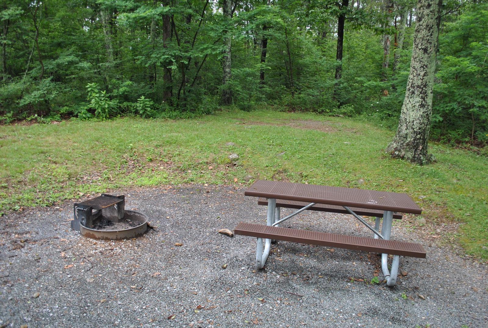 Mathews Arm Campground – Site A045