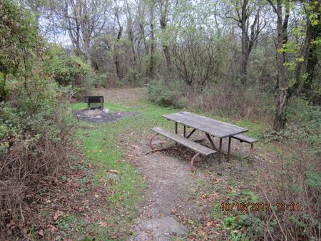 Site G194 with Picnic Table and Grill