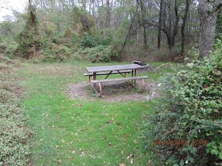 Site G199 with Picnic Table and Fire Pit