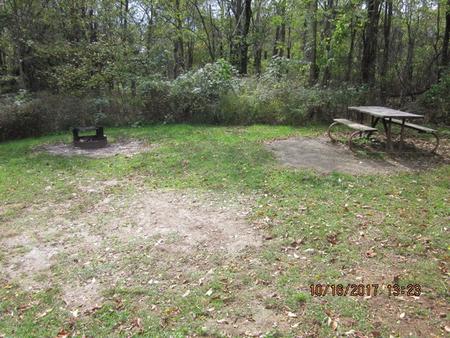 Site G202 with Picnic Table and Fire Pit