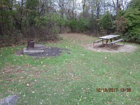 Site G207 with Picnic Table and Grill