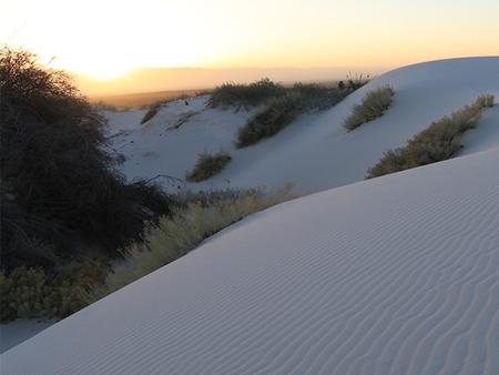 The gypsum dunes at sunrise.