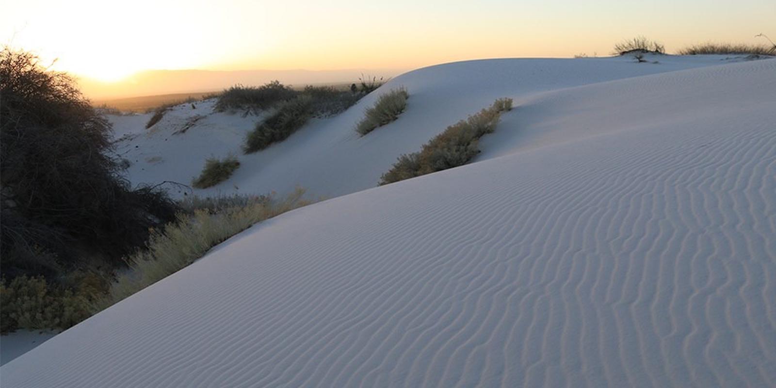 The gypsum dunes at sunrise.