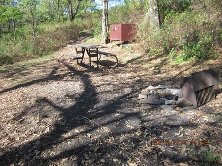 Loft Mountain Campground - Site 27Picnic table, food storage locker, and fire pit on campsite