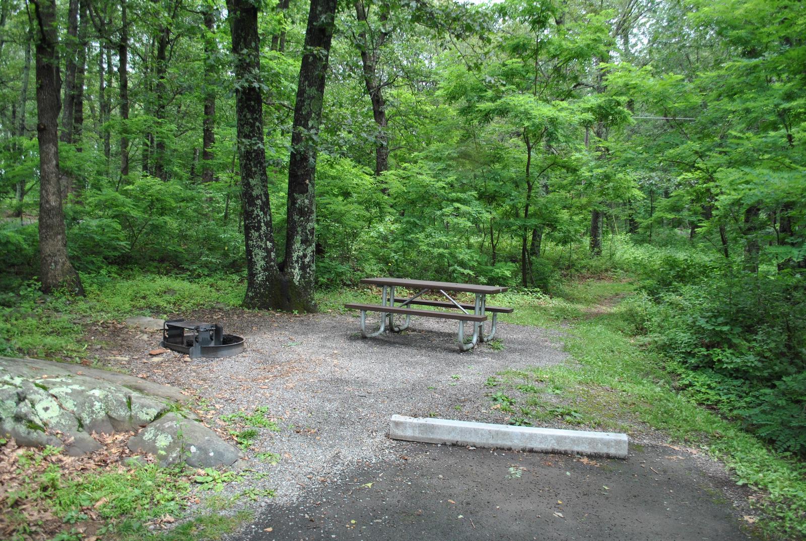 Mathews Arm Campground – Site A070