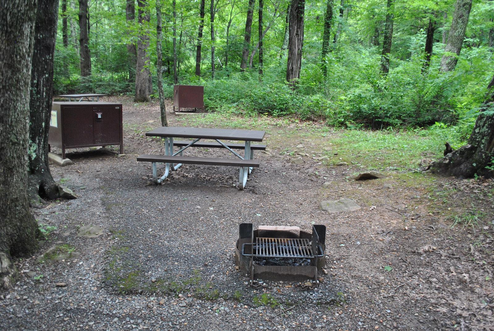 Mathews Arm Campground – Site A116