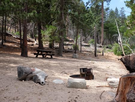 Campsite wih picnic table and firepit.