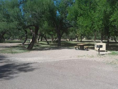 Shady campsiteFlat parking area with shade, some paved, some gravel