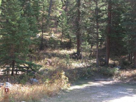 Site 8, campsite surrounded by pine trees, picnic table & fire ringSite 8