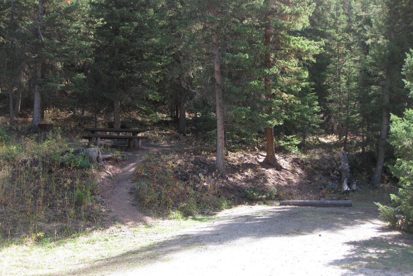 Site 11, campsite surrounded by pine trees, picnic table & fire ringSite 11