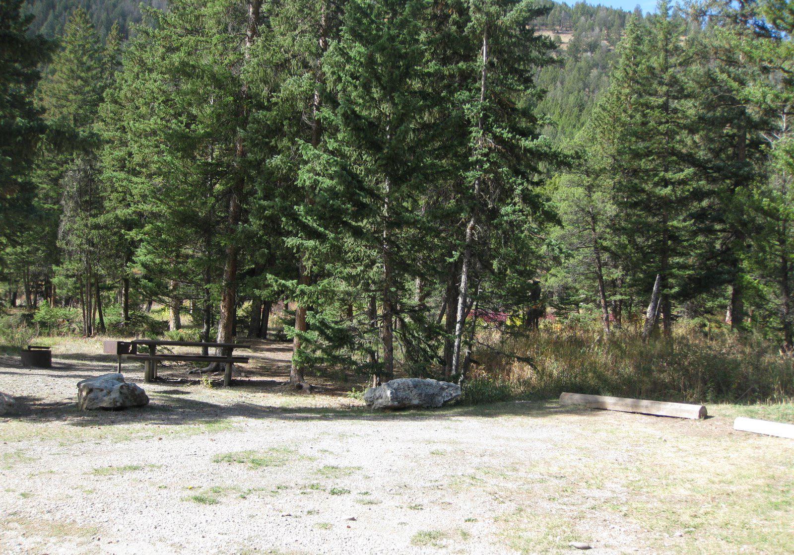 Site 14, campsite surrounded by pine trees, picnic table & fire ringSite 14