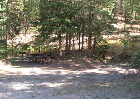 Site 20, campsite surrounded by pine trees, picnic table & fire ringSite 20