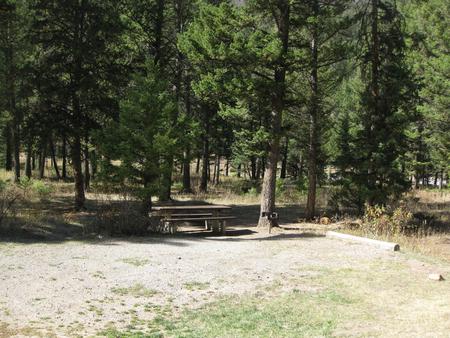 Site 21, campsite surrounded by pine trees, picnic table & fire ringSite 21