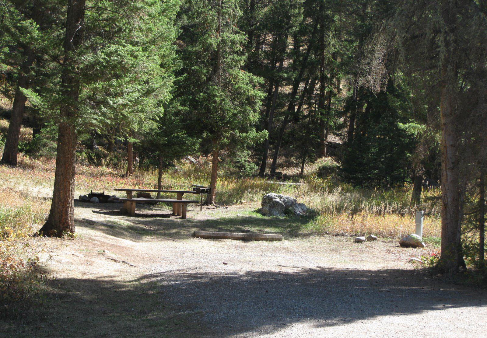 Site 26, campsite surrounded by pine trees, picnic table & fire ringSite 26