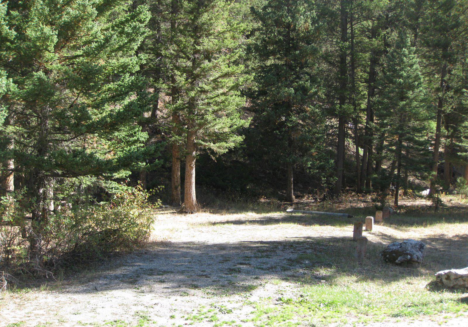 Site 29, campsite surrounded by pine trees, picnic table & fire ringSite 29