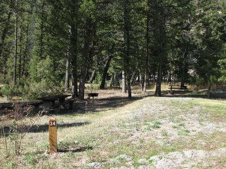 Site 34, campsite surrounded by pine trees, picnic table & fire ringSite 34