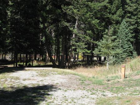 Site 37, campsite surrounded by pine trees, picnic table & fire ringSite 37