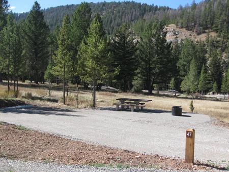 Site 47, campsite surrounded by pine trees, picnic table & fire ringSite 47