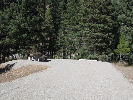 Site 57, campsite surrounded by pine trees, picnic table & fire ringSite 57