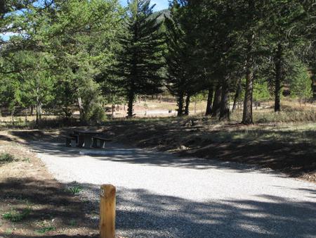 Site 62, campsite surrounded by pine trees, picnic table & fire ringSite 62