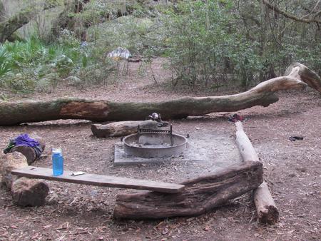 campsite with fire ring surrounded by palmettos, under live oak branchesStafford Beach site 10
