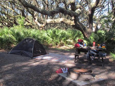 campsite with picnic table, food cage, and fire ring under live oak treesSea Camp site 10