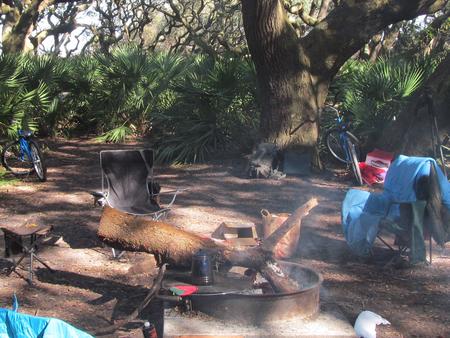 campsite with picnic table, food cage, and fire ring under live oak treesSea Camp site 12