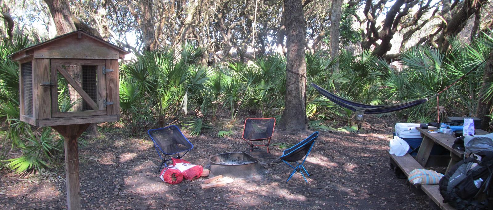 campsite with picnic table, food cage, and fire ring under live oak treesSea Camp site 14