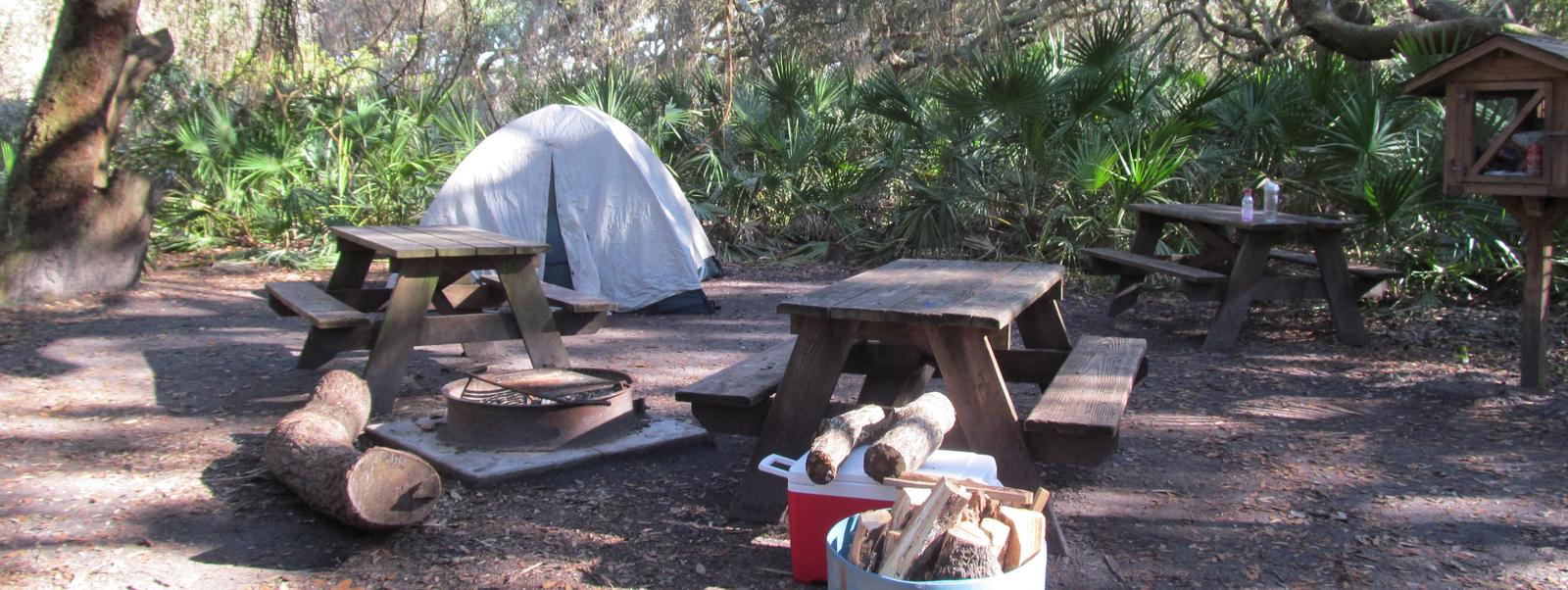 campsite with picnic table, food cage, and fire ring under live oak treesSea Cap site 15